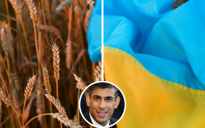 Ріші Сунак: війна в Ірані показує цінність України як союзника. Україна може допомогти іншим протистояти загрозам з боку авторитарних держав – The Times