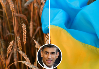 Ріші Сунак: війна в Ірані показує цінність України як союзника. Україна може допомогти іншим протистояти загрозам з боку авторитарних держав – The Times