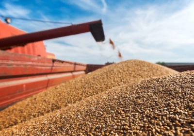Польща хоче передати Німеччині та Литві контроль над експортом українського зерна

